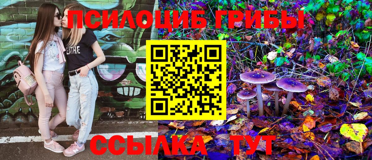 Амурск  Галлюциногенные грибы MAGIC MUSHROOMS  Вход с VPN  Галлюциногенные грибы Psilocybe 